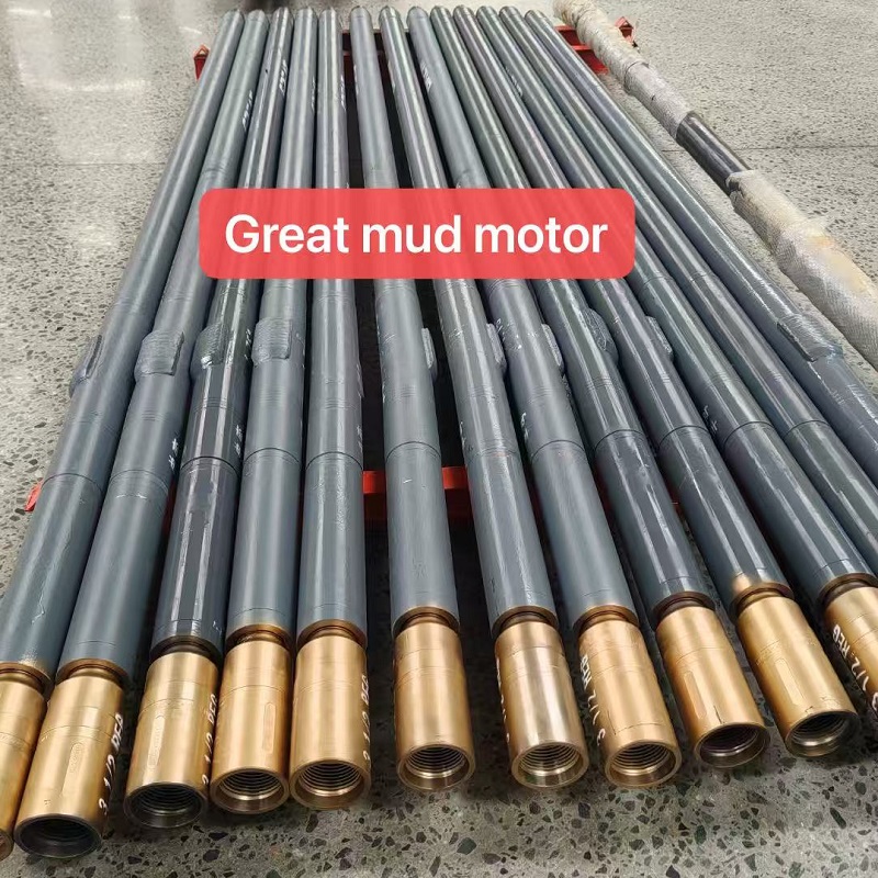 Downhole Motor
