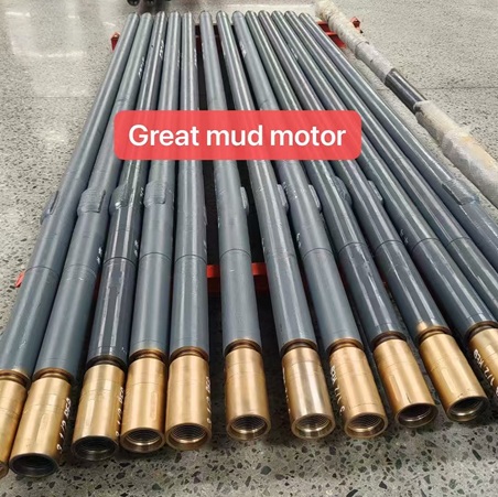 Downhole Motor